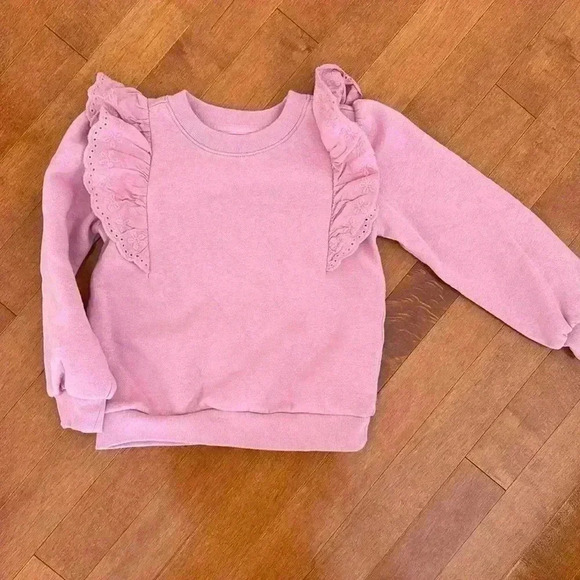 GAP Other - GAP Pink Sweatshirt with Eyelet Ruffle Detail